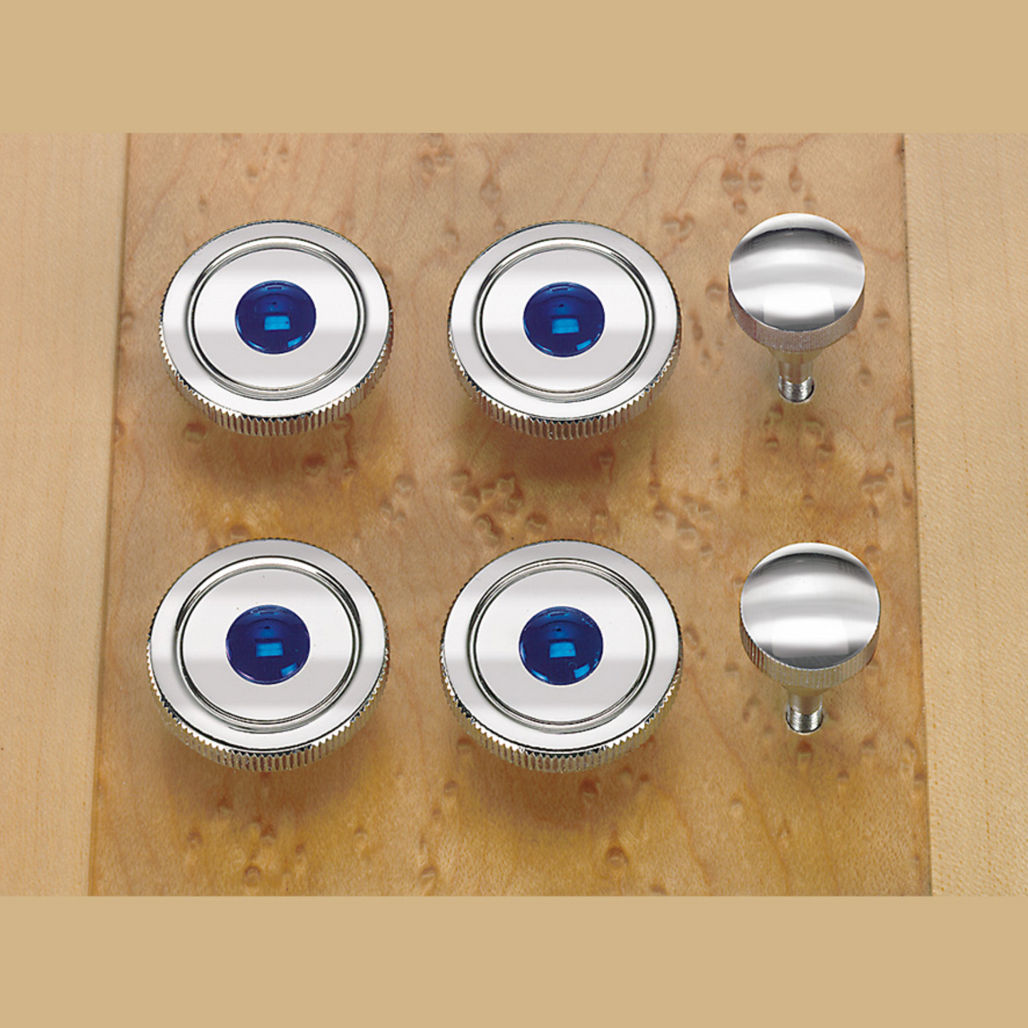 POLISHED CASE-HOLDING SCREWS