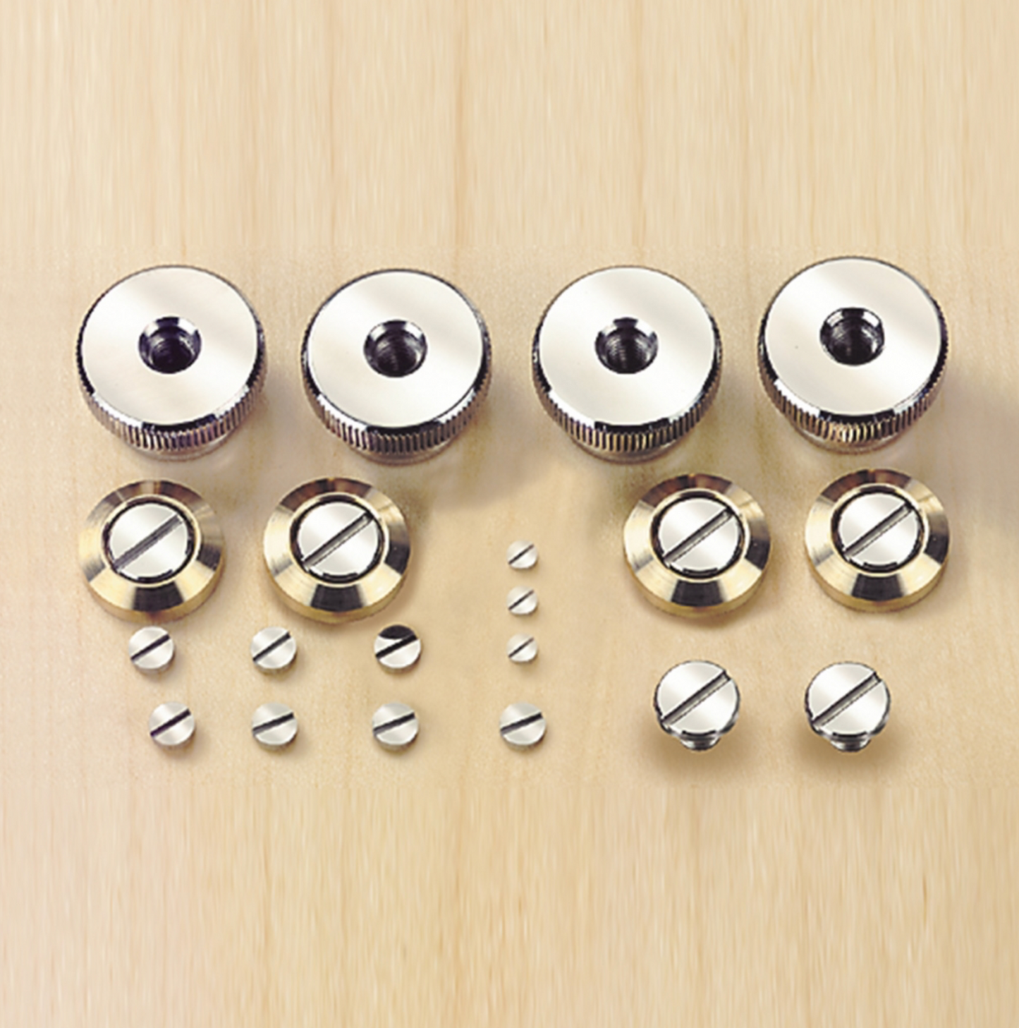 SET OF FINE-POLISHED SCREWS